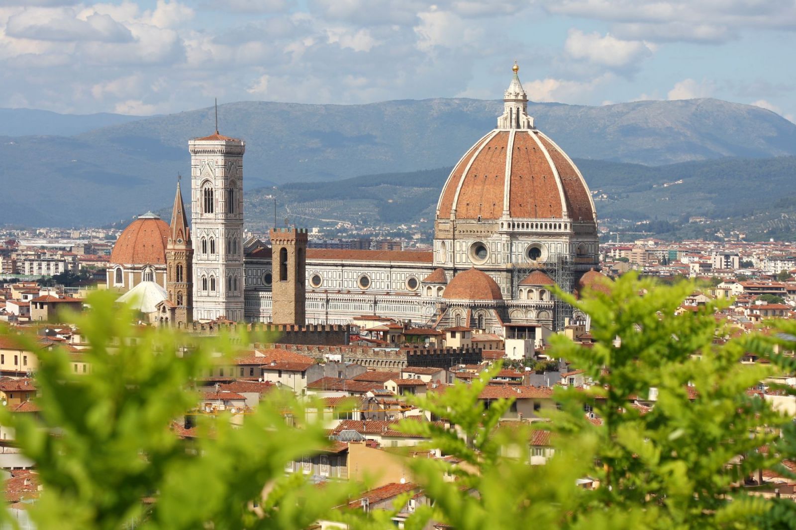 University of florence. Флорентийский университет Италия. Флоренция прогулка. Флорентийский университет. University of Florence, Italy.