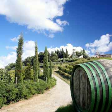 Cena especial y degustación de vinos en el Chianti en grupo pequeño VIP desde Florencia