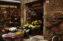 Day tour of Tuscany in Tuscany
