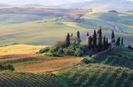 Tour in Chiantishire and Florence countryside, Tuscany