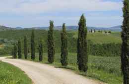 Tour of Florence countryside and Chiantishire, Tuscany