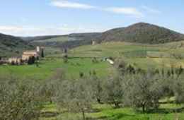 Tour of Montalcino and surroundings, Siena (Tuscany)