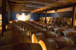wine tour of tuscany