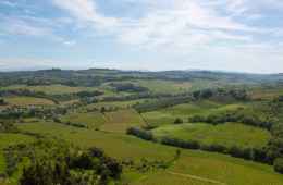 Wine tasting and Chiantishire Tour from Florence