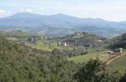 Tour of Montalcino and surroundings, Siena (Tuscany)
