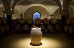 Tour della Valpolicella con degustazione di vino con partenza da Verona
