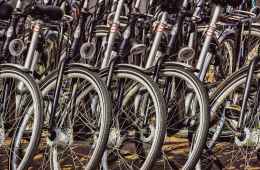 Tour of verona by bike