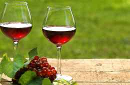 Wine tasting in Campania