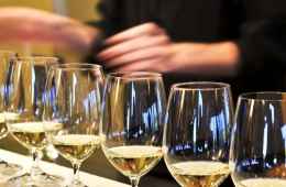 tasting wines with sommelier