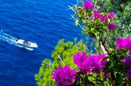 visiting Capri
