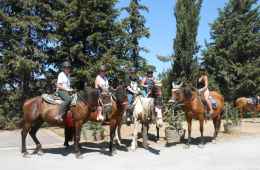 Horse riding Tour in Chiantishire