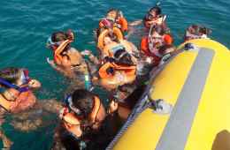 tour to Tavolara island by boat