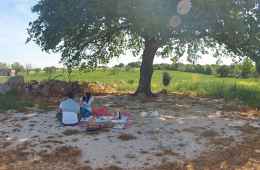 Country tour in Apulia with picnic