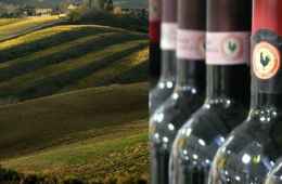 Olive oil and wine tasting Tour in Florence and Chiantishire