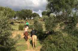 Join the horseback riding centre in Capitana, and have fun with this tour.