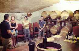 Tour and Wine tasting in Chiantishire by Fiat 500 Vintage