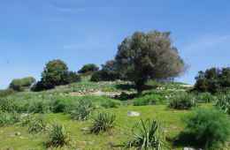 Admire the stunning Mediterranean vegetation of Sardinia