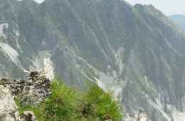 View of Carrara Marble