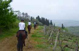 Horse riding Tour in Chiantishire