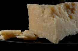 parmigiano cheese tasting