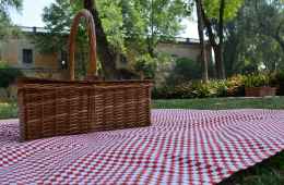 Tour of Villa Borghese and gardens with pic-nic