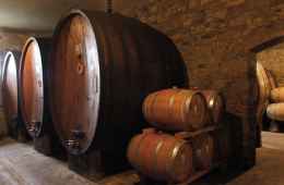 Day tour of Tuscany with stop at a wine cellar