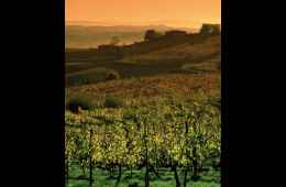Day tour of Tuscany- Tuscan landscape