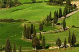 Monteriggioni, Montalcino and Chiantishire Tour, Tuscany
