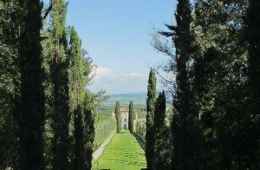 Tour of Pieve di Pernina e alla Villa Cetinale, Siena (Tuscany)