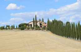 Daily excursion in Tuscany
