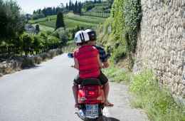 Small group tour of Verona by an authentic Italian Vespa