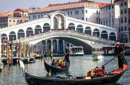 day tour to venice from verona