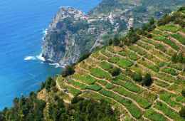Tour privato di 3 giorni alle Cinque Terre tra attività esclusive, vino e natura