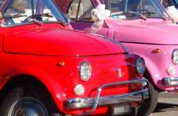 Vintage Fiat 500 eXPerience