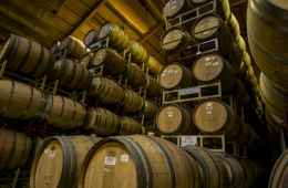 tour of wine cellar