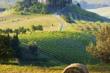 Private Half Day Tour of the Chianti hills and medieval landscapes