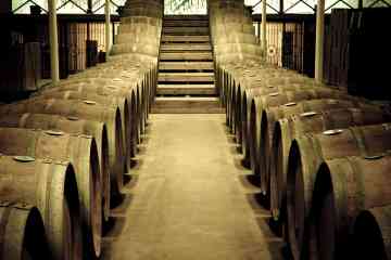 Tour di Montalcino con degustazione di vini, con partenza da San Gimignano