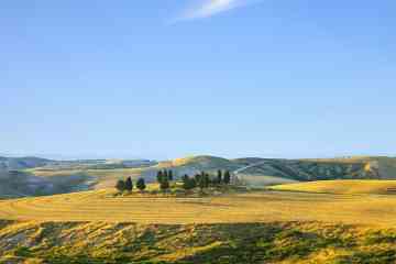 Day Tour of Tuscany from Florence: San Gimignano, Siena, Monteriggioni and Chianti
