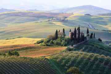Best tours and activities for Chianti
