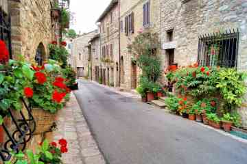 Private full-day tour of Assisi and Orvieto