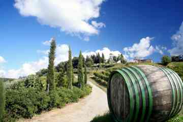 VIP Small Group Gourmet Dinner in Chianti with wine making lab, from Florence