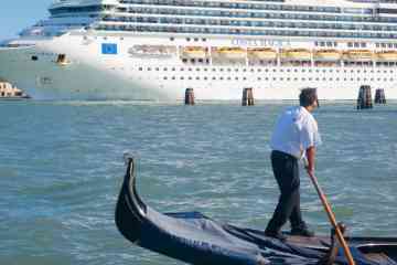 Private Transfer by Water Taxi from the Cruise Port to the Venice Centre