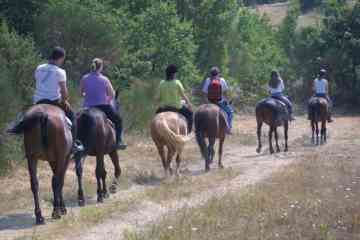 Horseback Riding, outdoors activity, around Tuscany region