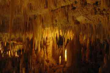 Best tours and activities for Castellana Caves