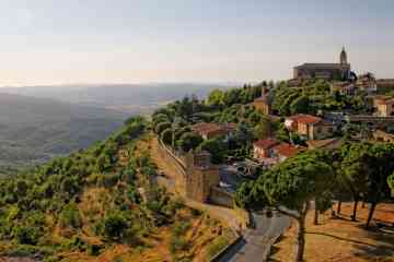 Best tours and activities for Montalcino