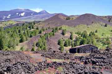 Private Mount Etna Trekking Tour from Catania: pick-up and picnic included