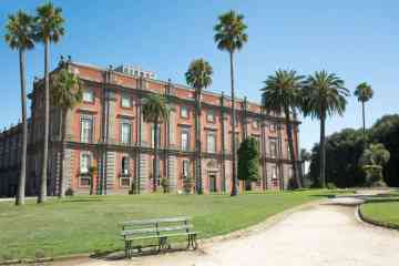 Private tour of Capodimonte Museum in Naples with skip-the-line tickets