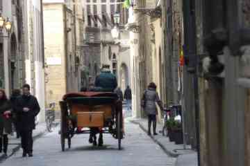 Romantic Private Tour around the main monuments on a carriage in Florence
