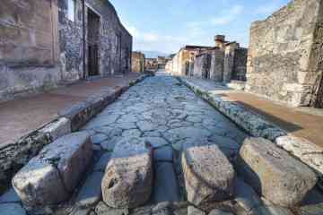 Tour di un giorno a Pompei e gita sul Vesuvio con partenza da Napoli