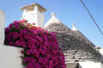 Independent tour of Apulia from Bari to Brindisi with accommodation- 8 days
